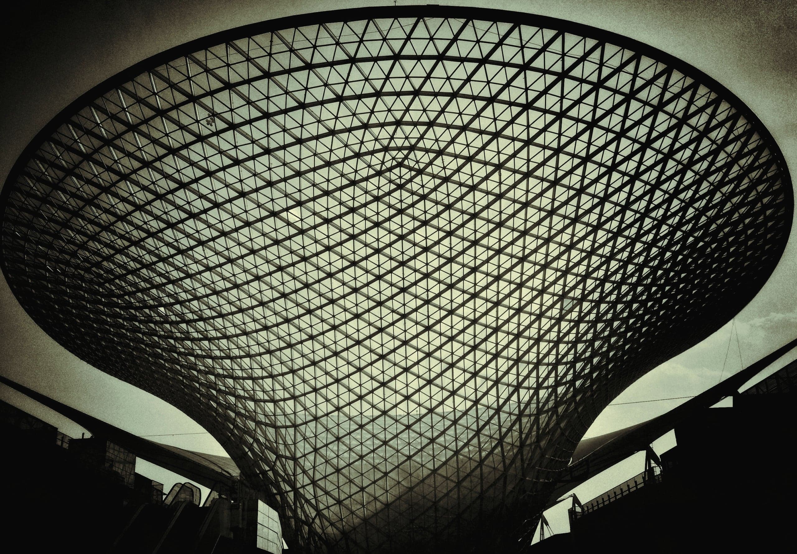 A steel gridshell funnel spreading overhead, seen from beneath.